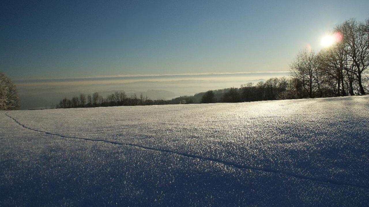 Ferienwohnungen Bauer - Auszeit Mit Ausblick Zenting 外观 照片