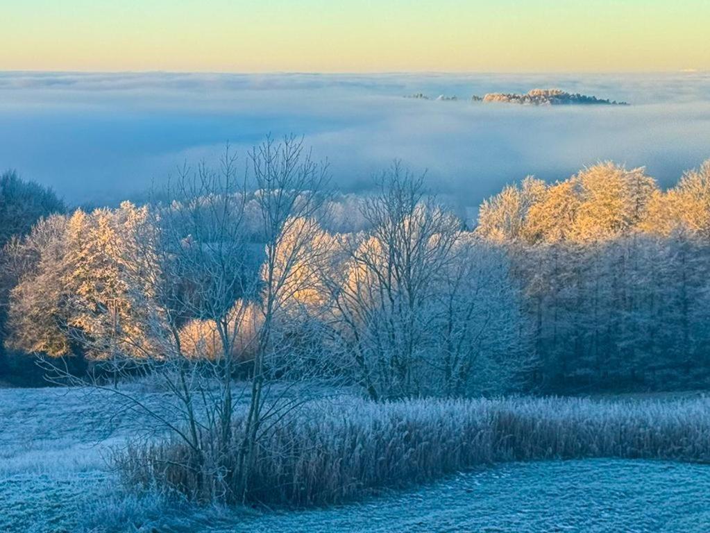 Ferienwohnungen Bauer - Auszeit Mit Ausblick Zenting 外观 照片